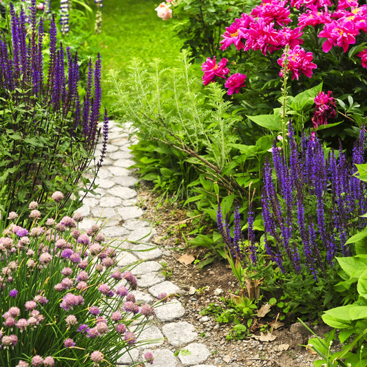 Ultimate Guide to Early Spring Garden Preparation