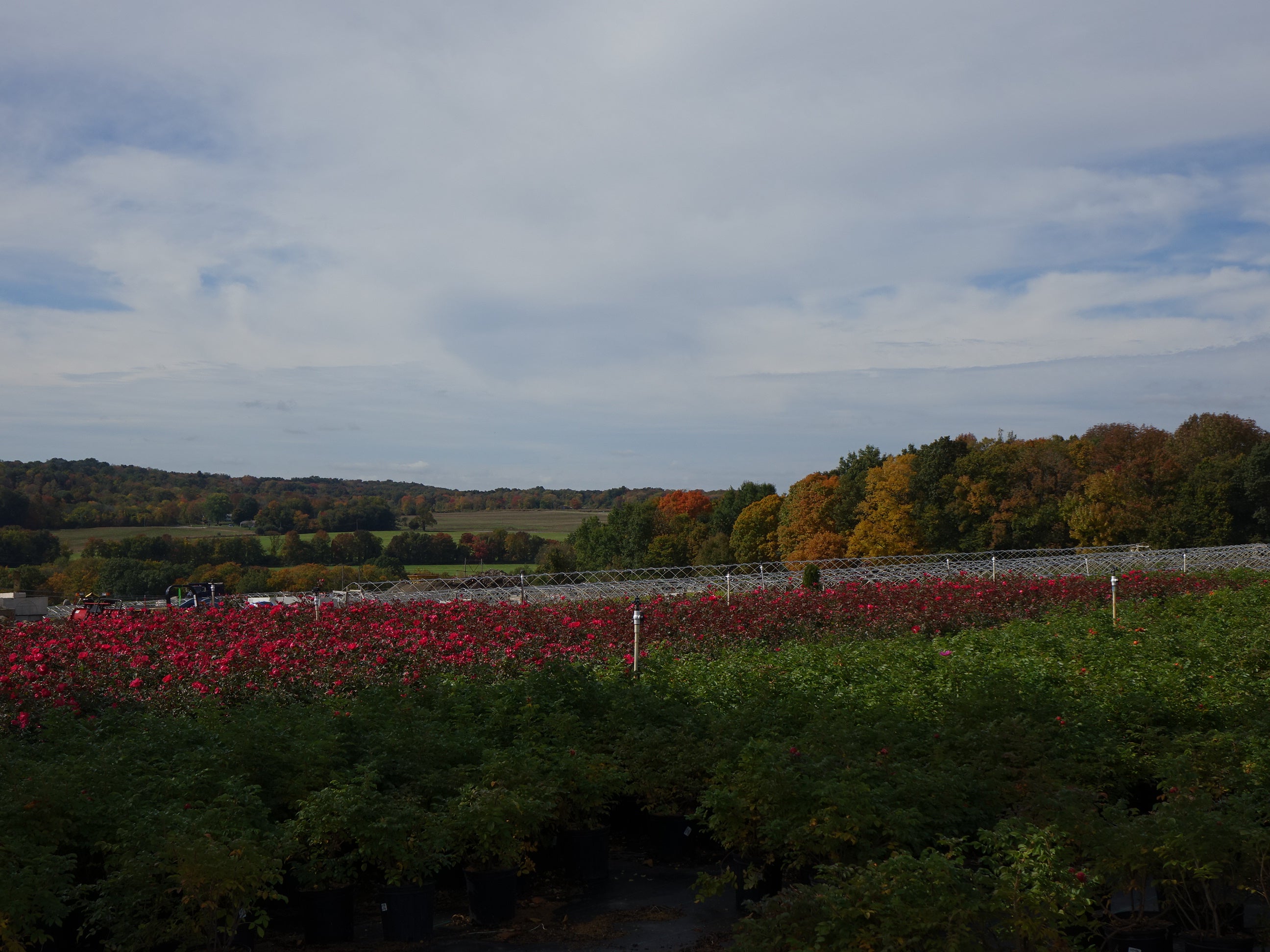 Promise Farm Project Fall Planting – Green Promise Farms