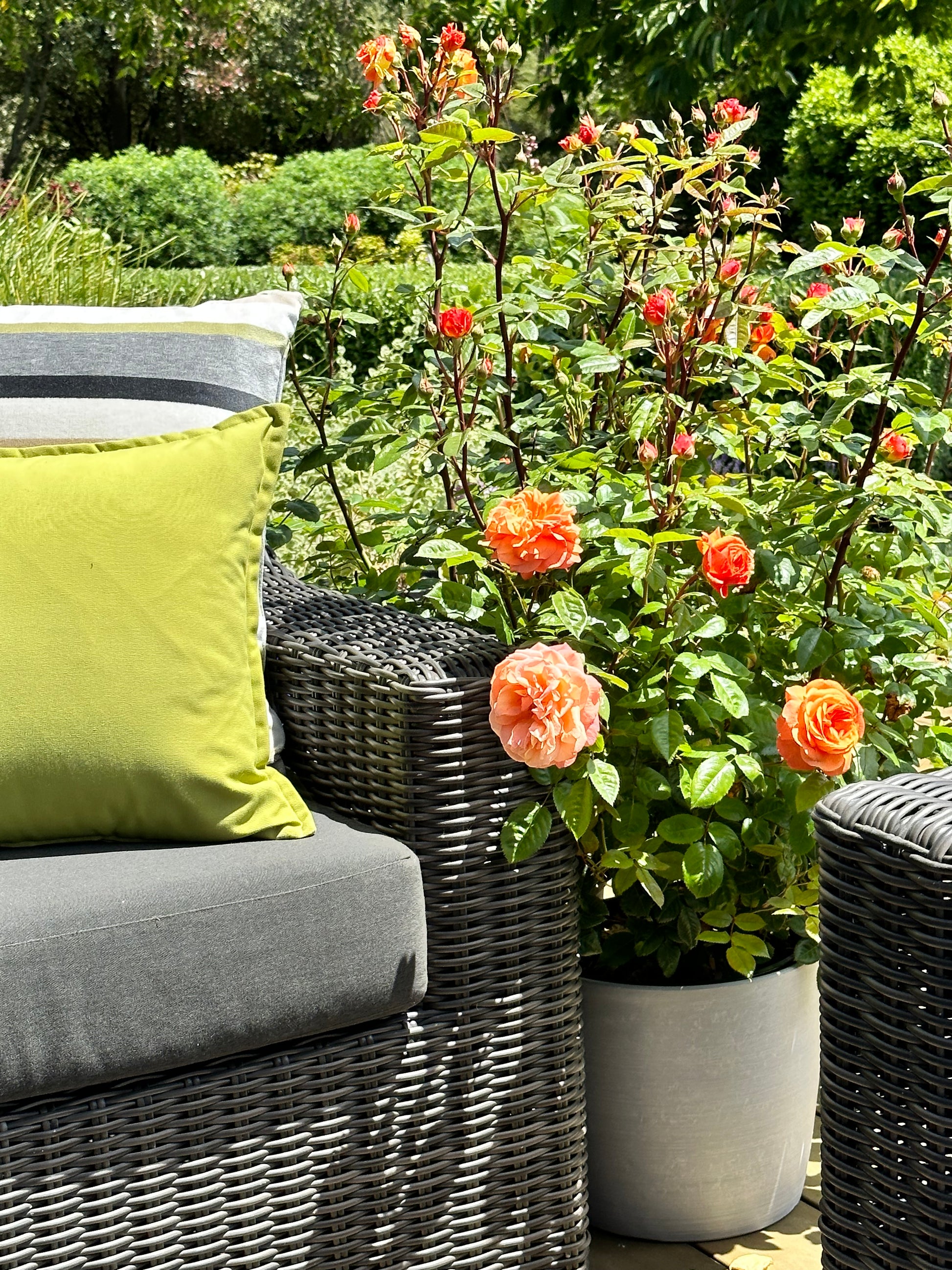 Outdoor seating area with flowers and a green cushion