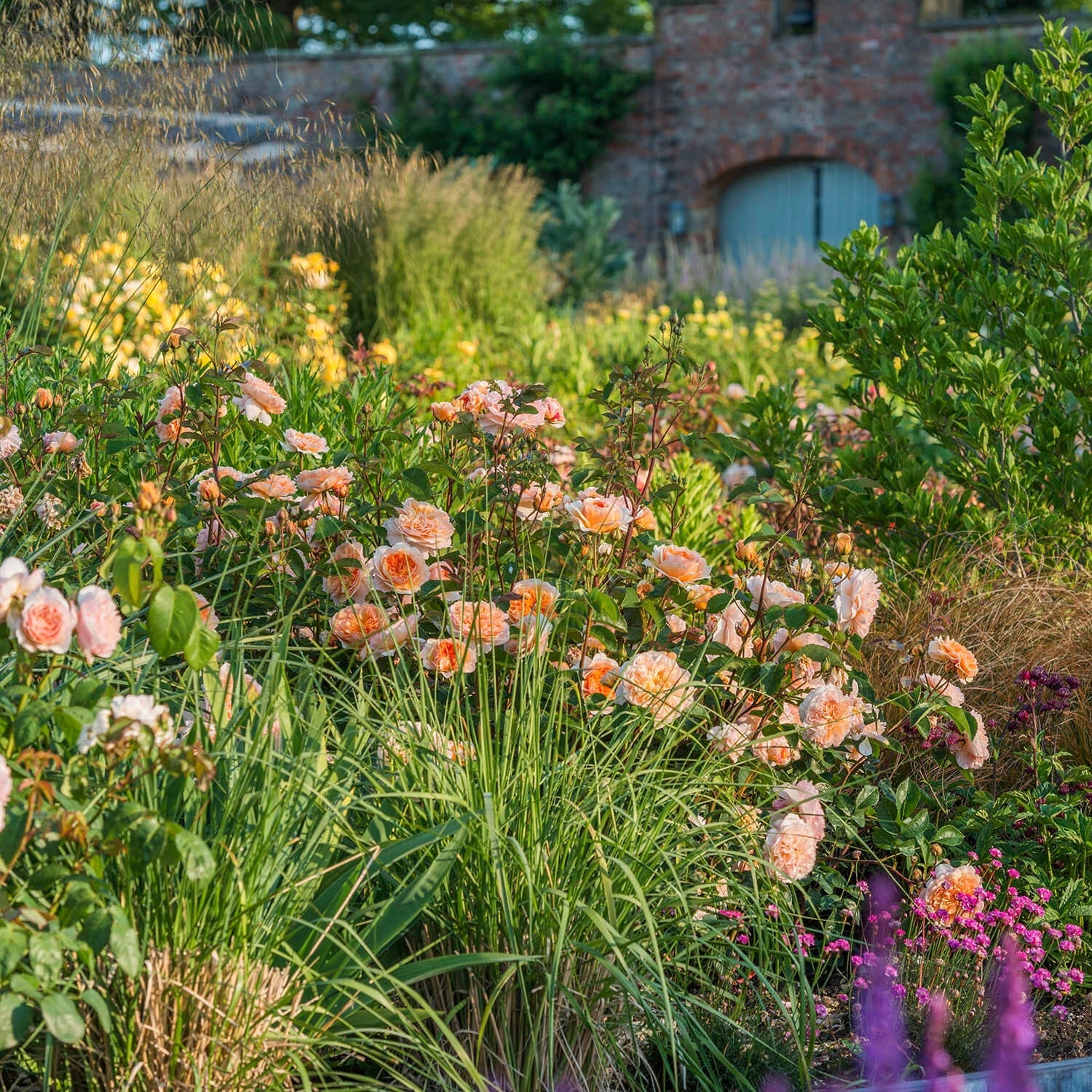 Garden with pink and orange flowers and a brick building in the background