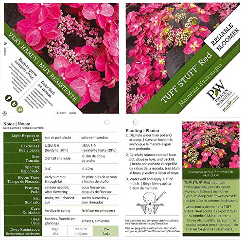 Tuff Stuff™ Red Mountain Hydrangea