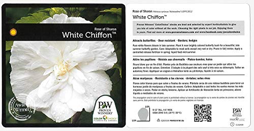 White Chiffon® Rose of Sharon plant tags